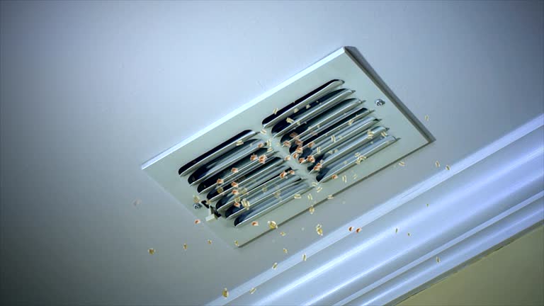 Best Dryer Vent Cleaning Services  in Decorah, IA